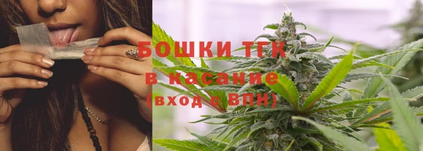 прущие грибы Белокуриха