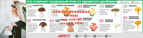 прущие грибы Белокуриха