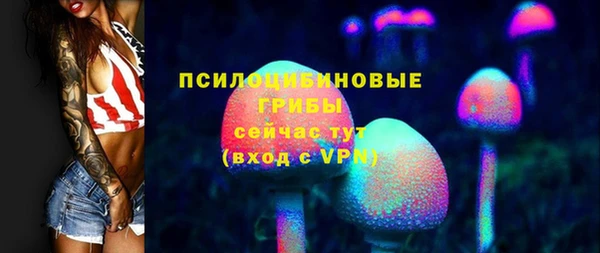 прущие грибы Белокуриха
