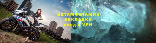 прущие грибы Белокуриха