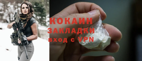 прущие грибы Белокуриха