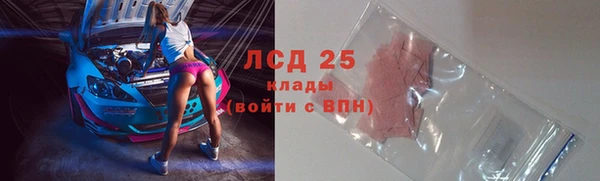прущие грибы Белокуриха