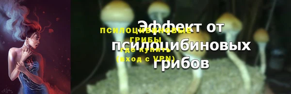 прущие грибы Белокуриха