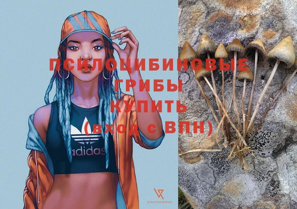 PSILOCYBIN Белоозёрский