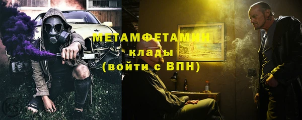 прущие грибы Белокуриха
