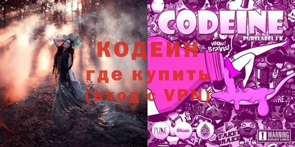 прущие грибы Белокуриха