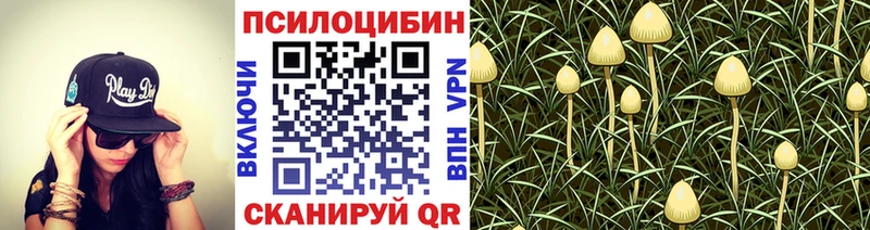 Галлюциногенные грибы Magic Shrooms  хочу наркоту  Облучье 